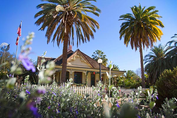 Fullerton Arboretum